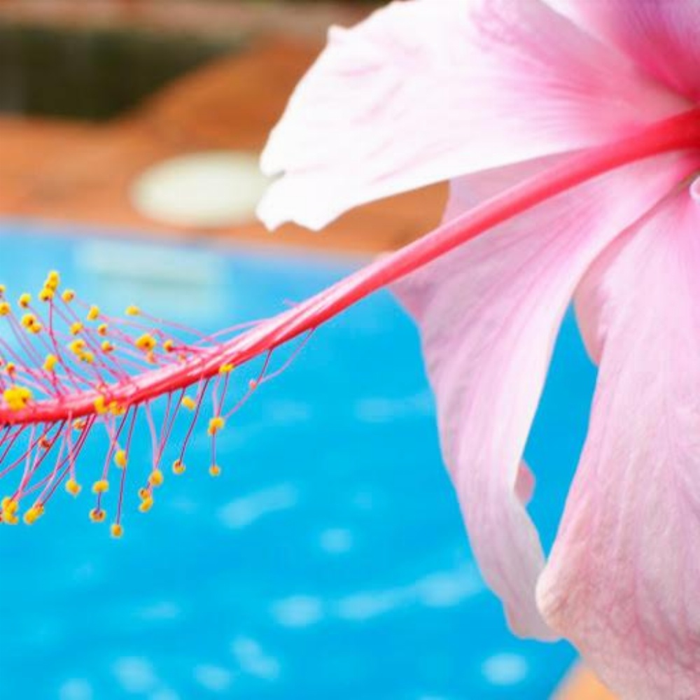 Tulia Boutique Hotel & Spa Image 38